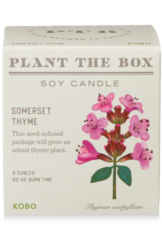 Edie Boutique Somerset Thyme Soy Candle